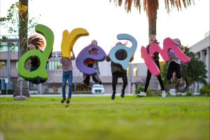Macquarie Credit Union DREAM Festival - Sydney Tourism